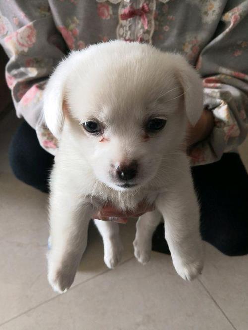 20221117201419_22000