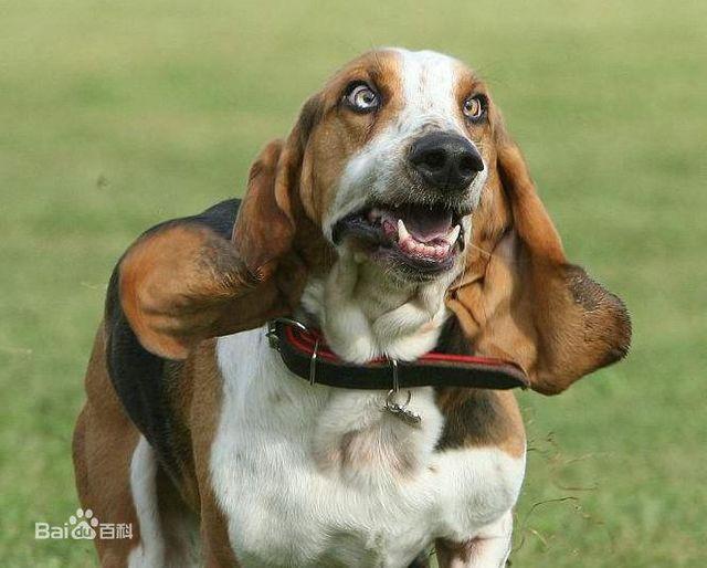 20221118090422_70893 20221118090422_70893