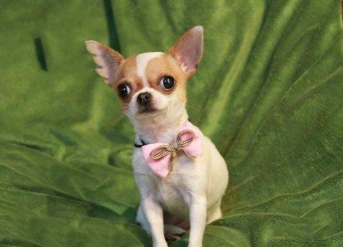 20221118101501_41285 20221118101501_41285