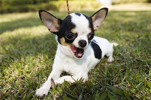 20221118101502_59968 20221118101502_59968