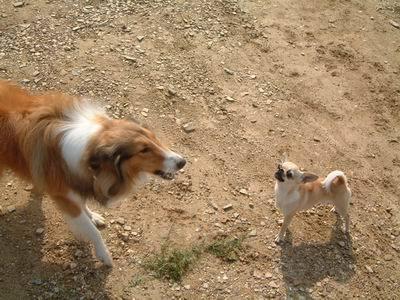 20221118101502_62475 20221118101502_62475