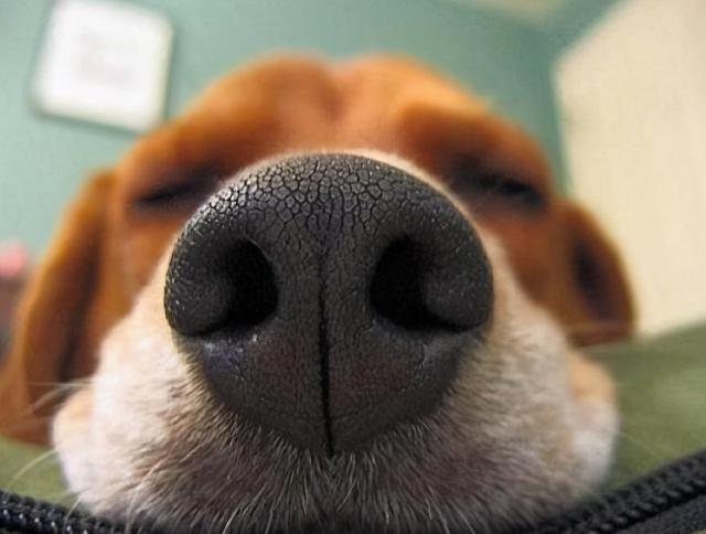 20221118101632_58648