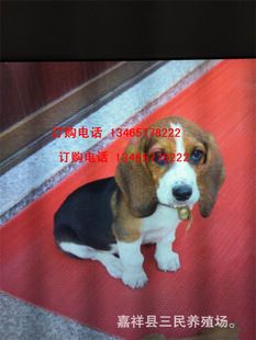 20221118101836_25066