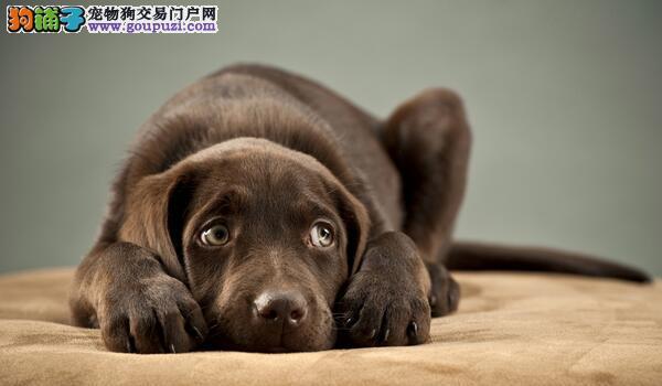 20221118103231_78502 20221118103231_78502