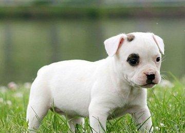 20221118105247_26354