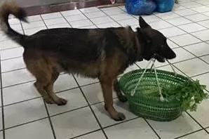 20221118110704_33041 20221118110704_33041