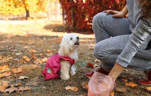 20221118120415_39672