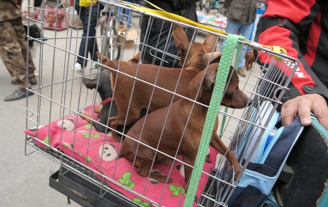 20221118120415_74227