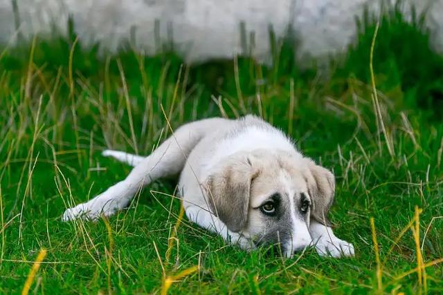 20221118121449_48722 20221118121449_48722