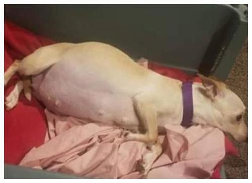 20221118143307_34009