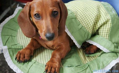 20221118143637_39348 20221118143637_39348