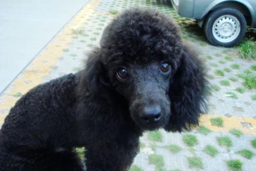 20221118162041_38364 20221118162041_38364