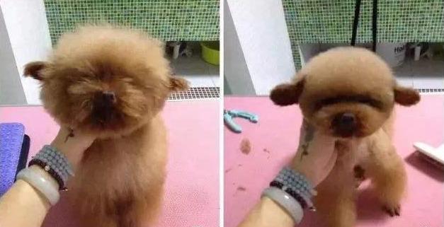 20221118162041_45224 20221118162041_45224