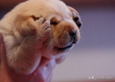 20221118163835_30658 20221118163835_30658