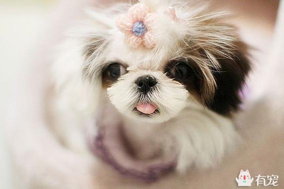 20221118172040_11468