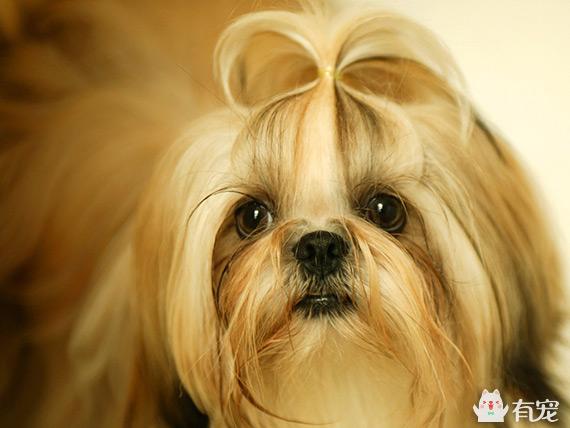 20221118172040_71522