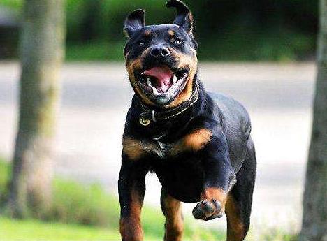 20221118175432_28365