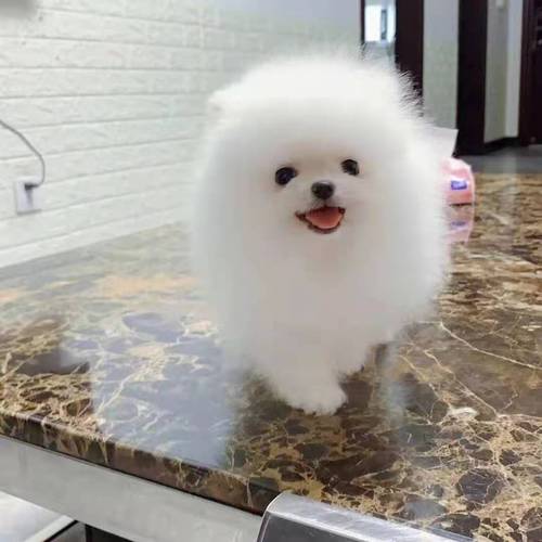 20221118184143_85667 20221118184143_85667