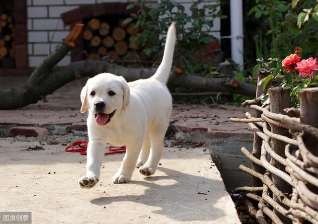 20221118190440_90763