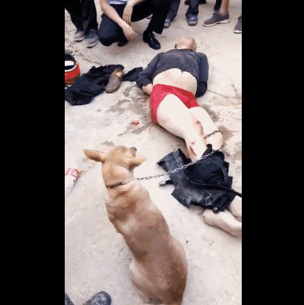 20221118192518_67372 20221118192518_67372