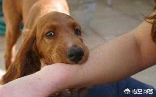 20221119100421_41304