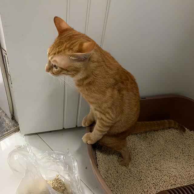 20221119101030_80216 20221119101030_80216