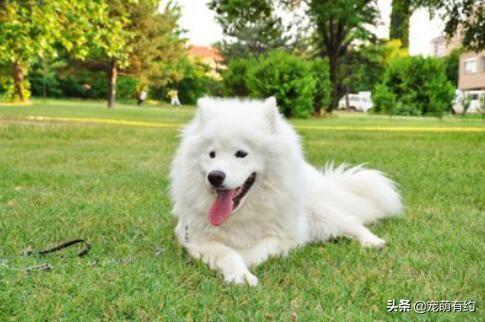 20221119105648_47702 20221119105648_47702