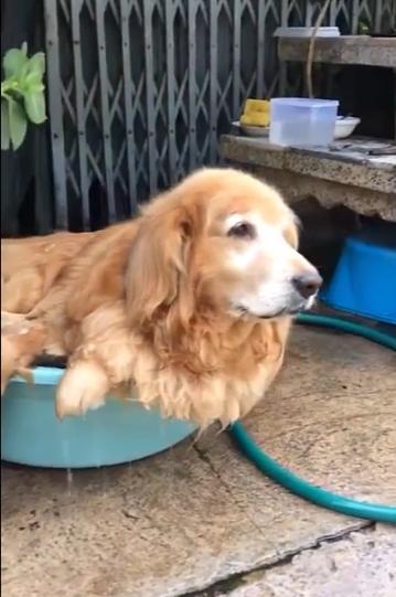 20221119113446_77868