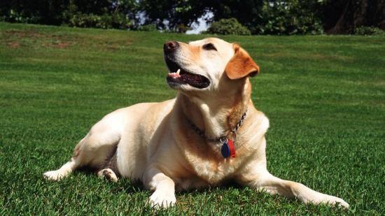 20221119115314_52550 20221119115314_52550