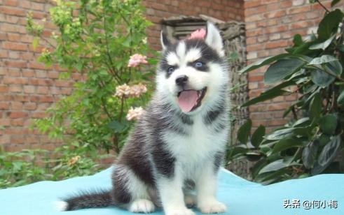 20221119153609_61271