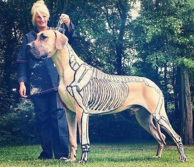 20221119155136_36424