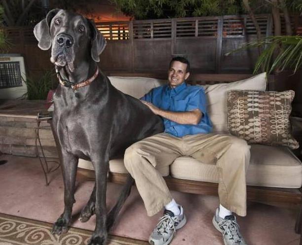 20221119155137_97418