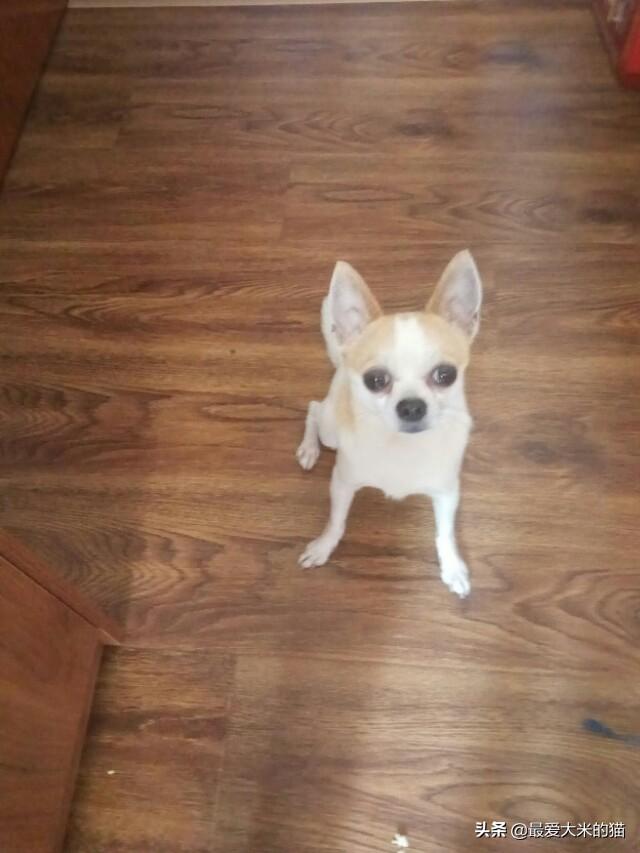 20221119155513_22429 20221119155513_22429