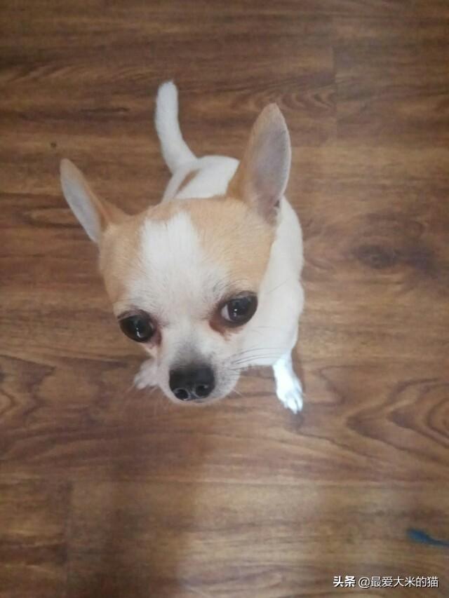 20221119155513_67964 20221119155513_67964