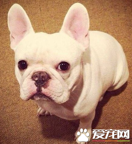 20221119173603_19935