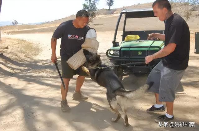 20221119174009_80737 20221119174009_80737