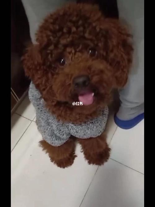 20221119180228_54812