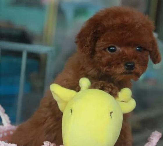 20221119180228_60717