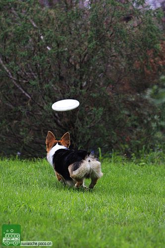 20221119183556_68081