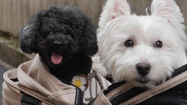 20221119191236_49530 20221119191236_49530