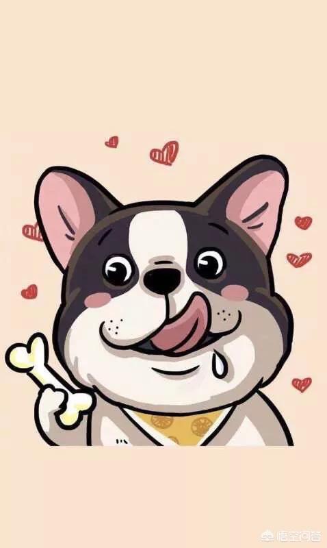 狗狗舔屏手机壁纸(二哈舔屏手机动态壁纸)-警犬训练器材厂家 _警犬训练用品_工作犬训练用品-南京开久警犬装备