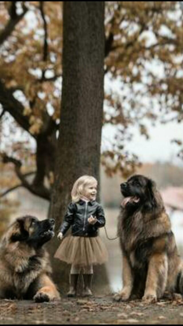 20221119191811_55825