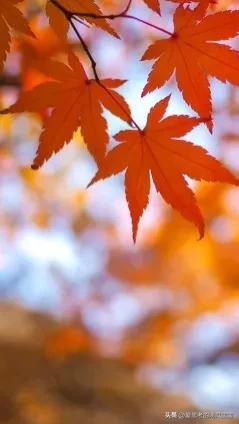 20221119193022_28664