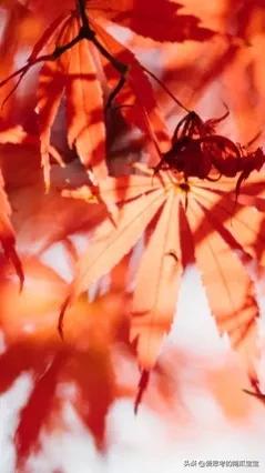 20221119193022_58957