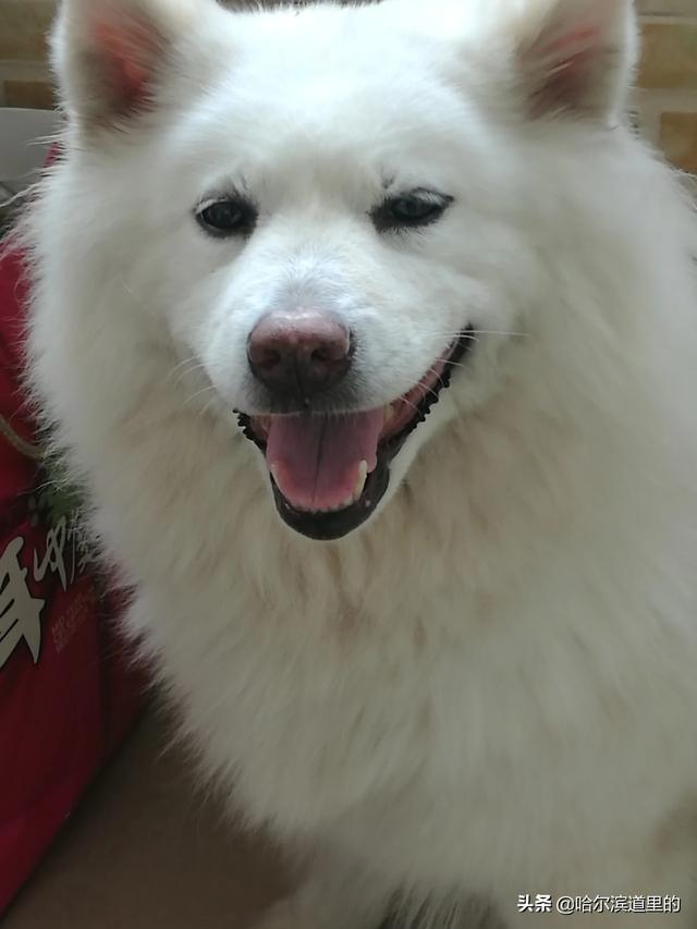 20221119193524_35359 20221119193524_35359