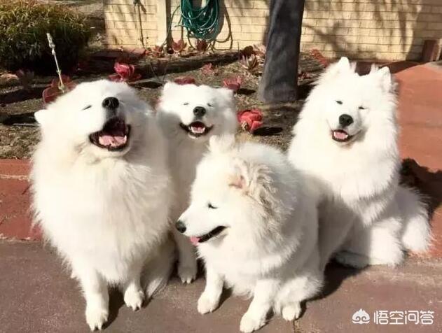 20221119193525_25156 20221119193525_25156