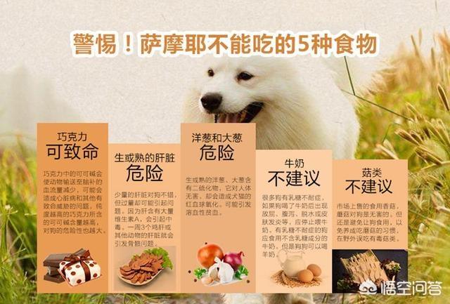 20221119193525_41489 20221119193525_41489