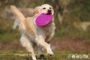 20221119194356_25746 20221119194356_25746