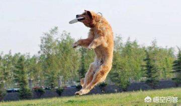 20221119194356_49205 20221119194356_49205