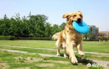 20221119194356_69909 20221119194356_69909